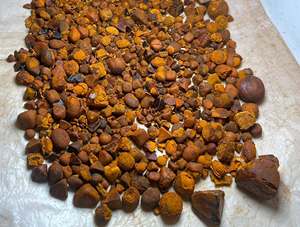 Cálculos Biliares Bovinos Naturales de Alta Pureza, Grado Premium de Exportación, a Prueba de Humedad al Vacío, 2 Años de Vida Útil, Suministro con Empaque Personalizado - Product Image 3