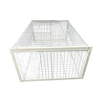 Piège à pigeons en fer pour extérieur, porte unidirectionnelle pour toit, portillon sensible, entrée automatique, récupération des pigeons voyageurs, volière écologique