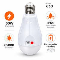 Ampoule LED IP54 6500K avec batterie au lithium et 3 batteries rechargeables par USB, E27 AC85-265V, 30W, pour salon et maison