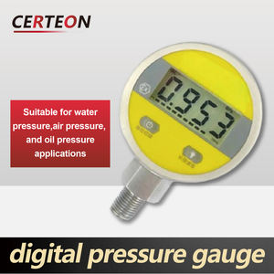 เกจ์วัดแรงดันดิจิตอลแบบพกพา LCD พร้อมเกลียว G1/4 M20 สำหรับน้ำ น้ำมัน ไฮดรอลิก ใช้แบตเตอรี่ - Product Image 2