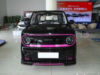 Panda 2025, version Panda Kart, nouveau véhicule électrique MINI, haute vitesse mais prix bas, avec une autonomie de 210 km