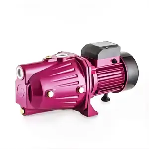 飞泵中国供应国产表面自吸喷射水泵单相泵220v 60hz 110v 1hp