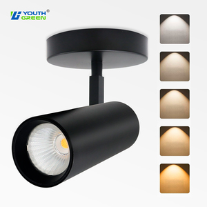 Trong NHÀ XUỐNG <span class=keywords><strong>LED</strong></span> ánh sáng theo dõi 20 Wát tuôn ra bề mặt được gắn trần Spotlight 5cct có thể điều chỉnh COB chiếu sáng lịch thi đấu - Product Image 3