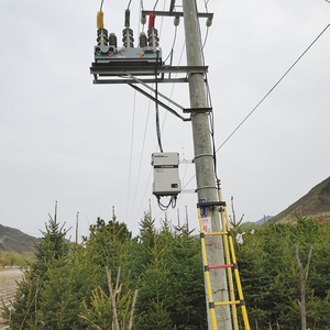 10kv 11kv 12kv 15kv 20kv 27kv 33kv 36kv 고전압 삼상 옥외 폴란드는 자동 자동적인 회로 recloser 가격을 거치했습니다
