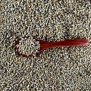 Récolte de millet indien sélectionné - Product Image 2