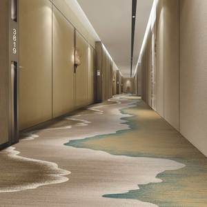 Alfombra Estilo Hotel, Suave y Aterciopelada, en Rollos para Uso Interior/Exterior, de Pared a Pared, para Puertas, Dormitorios y Espacios Exteriores, Precio Bajo - Product Image 1