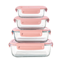 Ensemble de boîtes à lunch en verre borosilicate de haute qualité sans BPA, couvercles roses, ensembles de contenants alimentaires pour la cuisine