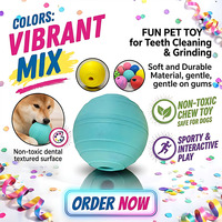 Jouet à mâcher interactif pour animaux de compagnie, balle à mâcher polyvalente pour chien à rebond élevé avec texture, jouet interactif pour chien, jouets à mâcher pour animaux de compagnie pour la piscine et la plage