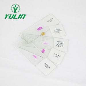 Seluncur Mikroskop Siap Geometris Ayam Kotak 50 Buah - Product Image 3