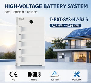Batterie lithium-ion <span class=keywords><strong>triple</strong></span> puissance haute performance 50A courant maximal, conception plug-and-play, système de stockage de batterie photovoltaïque - Product Image 1