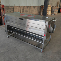 Commerciële Volautomatische Fruit-En Groenteborstel-Type Wasmachine, Aardappel Reinigings-En Schilmachine, Cassave