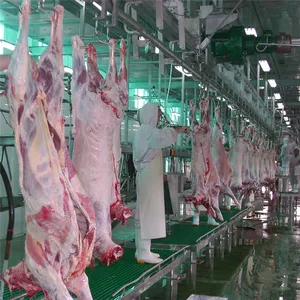 Ritual Goat Slaughtering Equipment For Lamb Butcher Abattoir Meat Process Line