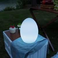 RGB LED Eier lampe Wiederauf ladbare farbwechsel nde Nachtlicht Wasserdichte tragbare Kunststoff Tisch lampe Fernbedienung für Bar Party