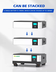 Batería de Litio para Almacenamiento de Energía Doméstica de 48 V, 200 Ah, 10 kWh, 20 kWh, 30 kWh, 50 kWh, LFP51300, Batería de Litio de 48 Voltios LFP51300 - Product Image 4