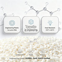 Résine de polyamide PA6 en granulés, qualité moulage par injection, plastique technique pour composants automobiles et industriels