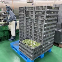 Heavy Duty Fruits Légumes Récolte Stockage Livraison Empilable Pliable Pliant Ventilé Maille Pliable Caisses En Plastique Pliable