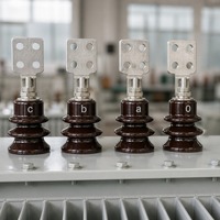 SH15 Amorf Alaşımlı Yağlı Tip Trafo Ultra Düşük Yüksüz Kayıplı Enerji Tasarruflu Tam Bakır Fabrikadan Doğrudan