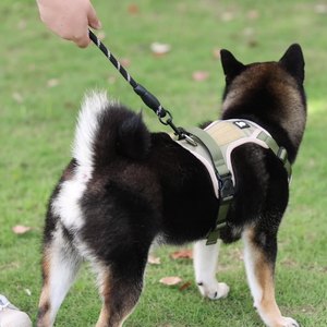 Adjustable XL Training <strong>Harness</strong> for <strong>Dogs</strong> Tactical Cat Vest Anti-Escape <strong>Chain</strong> Solid Padded Button Outdoor Nylon Polyester Small - Product Image 2