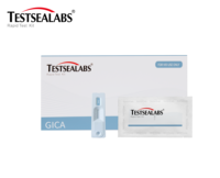 Testsealabs THC One Step Diagnóstico médico Prueba rápida