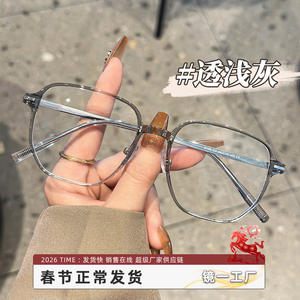 Montures de lunettes rectangulaires en alliage pour femmes Danyang 8146, monture complète, protection contre la lumière bleue, tendance mode, verres en acrylique - Product Image 5