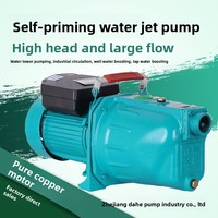 Pompe à eau auto-amorçante à haute pression en fonte 220V pour puits