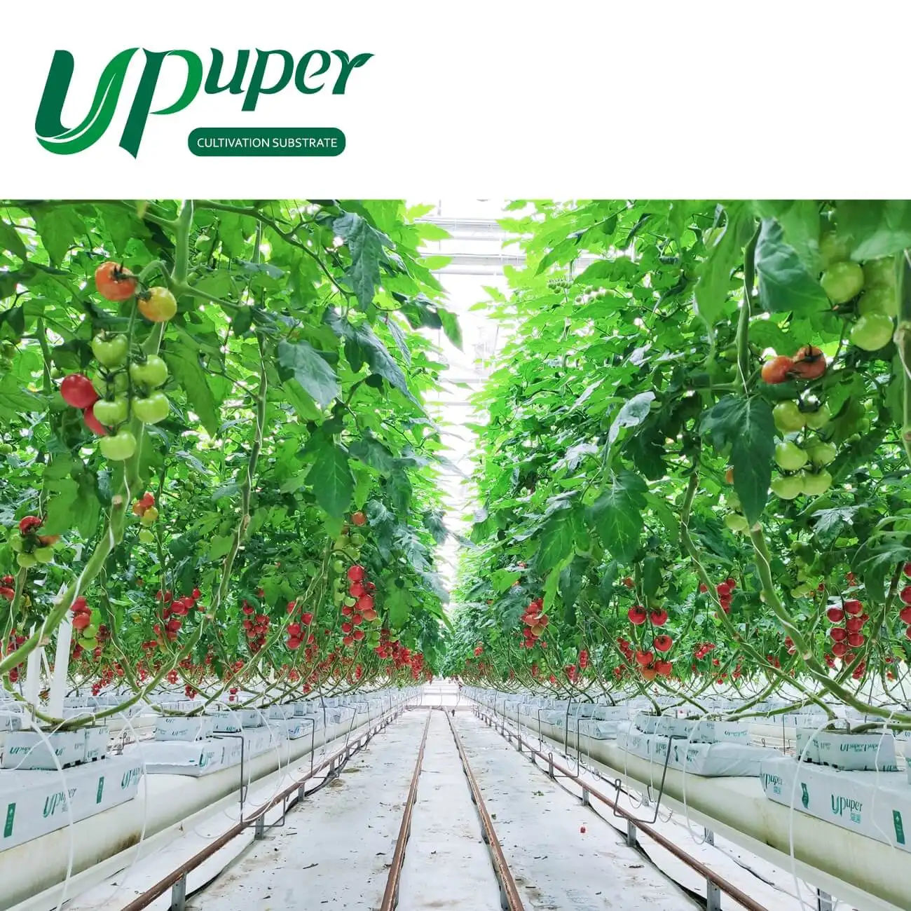 UPuper 40x8x3 นิ้วจีนผู้ผลิตในร่มพืชแตงกวามะเขือเทศปลูกแผ่นไฮโดรโปนิกส์