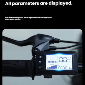 Vélo de montagne électrique tout-terrain pour adultes, cadre en acier à haute teneur en carbone, 350W, 7 vitesses, pneus larges 20*4'', frein à disque rapide 30KM/H, E-MTB - Product Image 5