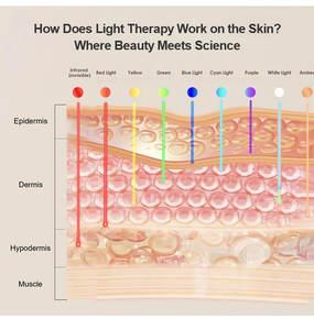 7 एलईडी लाइट सेंसिटिव एक्ने इन्फ्रारेड 880nm pdt फर्म स्किनकेयर फेस ब्यूटी फेस मास्क - Product Image 3