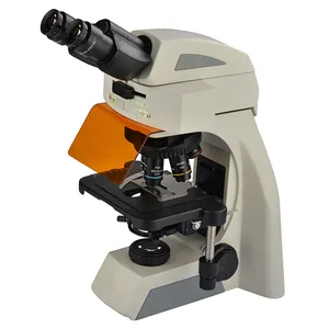 BestScope BS-2073FB LED LED High Level Teaching Fluorescence Binocular Biological Microscope
