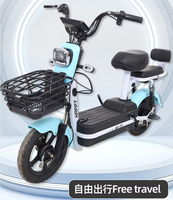 Scooter City Vélo électrique 250W Moteur sans balais électronique haute vitesse Cadre en acier Batterie au plomb Utilisation adulte 18 vitesses Double