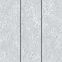 Carreaux de sol vitrifiés 1200x3000mm pour salon, couloir, chambre - Écologiques, imperméables, design moderne