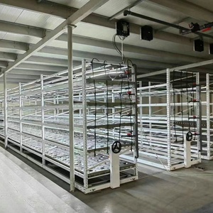 Customizable Small Greenhouse with Movable Tide Rack Seedbed Tray Rolling <strong>Table</strong> for Tomato Hydroponics Planting Agriculture - Product Image 5