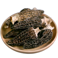 Champignons Morilles entièrement séchés de haute qualité, adaptés à la vente en gros, à la personnalisation OEM et aux emballages sous marque privée