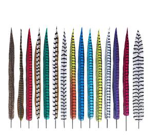 Plumas Naturales de Faisán Naranja de Cola Larga, Pluma Artificial para Fiestas, Carnavales, Decoración del Hogar, Bodas, Jarrones, Manualidades, Disfraces - Product Image 3