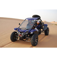 Buggy des dunes certifié CEE, puissance et performance, les tout-terrain préférés d'Europe, 4x4 Renli 1100cc, kart à essence tout-terrain pour adultes