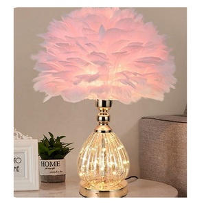 Mới phổ biến rõ ràng phòng ngủ cạnh giường ngủ Kính lãng mạn ấm áp màu hồng lông phòng khách sofa bảng ánh sáng đèn - Product Image 1