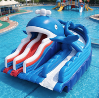Toboggan aquatique gonflable commercial géant, toboggan de parc aquatique gonflable, piscine, parc d'attractions, toboggan aquatique gonflable pour enfants et adultes