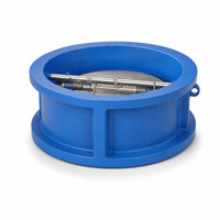 Clapet anti-retour à double plaque en fonte ductile pour conduite d'eau de protection incendie