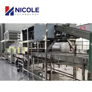 Chinese Supplier Self Cooking Instant Noodle Machine Maggi Instant Noodle Production Line
