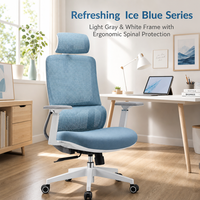 Chaise de bureau ergonomique à dossier haut en maille avec appui-tête 2D, double soutien lombaire, chaises de travail pivotantes pour bureau