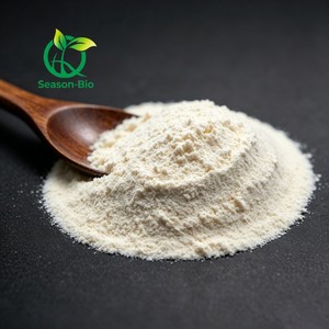 Poudre de Nattokinase de Qualité Alimentaire Xi'an Seasons 20000FU/g Extrait Naturel de <span class=keywords><strong>Natto</strong></span> - Product Image 1