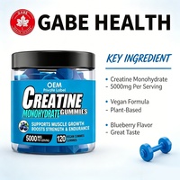 Gummies de créatine monohydrate végétaliennes sans sucre, saveur myrtille, marque privée ODM/OEM, pour la croissance et la force musculaire des adultes