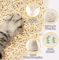 Litière pour chat en tofu, directement de l'usine, à base de plantes, agglomérante, avec emballage personnalisé, litière pour chat en tofu de qualité supérieure, respectueuse de l'environnement