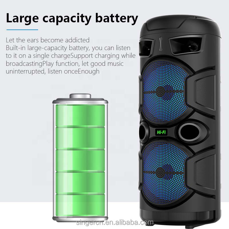 ZQS2806 Dual 8 Inch Portable Speaker - Heavy Bass & LED Lights