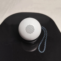 Orbe de Souvenir Romantique Écologique Rechargeable Vidéo Boule de Cristal Feng Shui Personnalisable Créative Cadeau d'Anniversaire pour