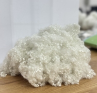 HCS 7D 51mm Gerecycled Polyester Holle Conjugated Siliconized Vezel voor Export en Binnenlandse Productie, Klaar voor Export naar Nederland