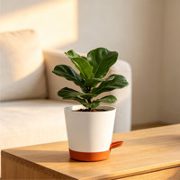 Pots de fleurs en plastique modernes et durables à arrosage automatique avec trous de drainage, design minimaliste, capacité de 1,57 L pour une utilisation en intérieur/extérieur