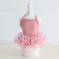 Jupe tutu pour fête d'anniversaire d'animaux, robe de princesse, costume mignon en dentelle, tenue douce pour chiot et chat, pour mariage, vacances et séances photo