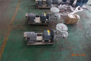 Ace Stainless Steel Food Grade Liquid Transfer <b>Pumps</b> Chocolate Yoghurt Honey Syrup Rotary Lobe <b>Pump</b> ISO9001 CE Filling Machine - Product Image 6