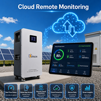 Batterie solaire au lithium LiFePO4 de qualité A 51,2 V 314 Ah pour stockage d'énergie domestique 16 kWh 5 kWh avec BMS intelligent CAN RS485 16 parallèles